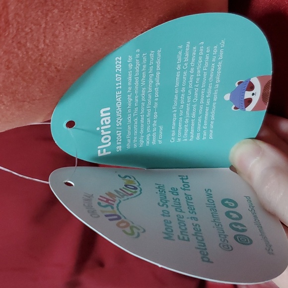 Florian the Badger 8" Squishmallow - Picture 4 of 4